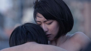 Кошачий рассвет (фильм, 2017)