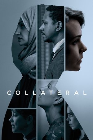 Соучастник (сериал, 2018)