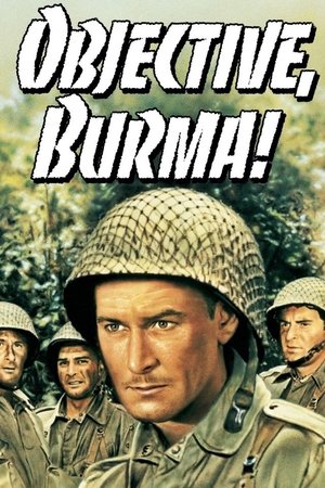 Цель - Бирма (фильм, 1945)