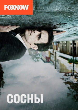 Сосны (сериал, 2015)