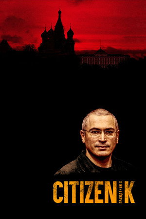 Гражданин Х (фильм, 2019)