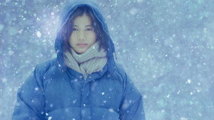 Небольшой лес: Зима и весна (фильм, 2015)