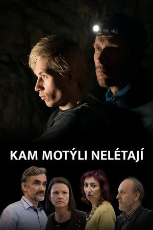 Где не летают бабочки (фильм, 2022)