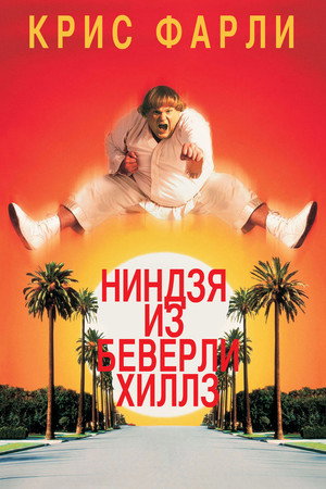 Ниндзя из Беверли Хиллз (фильм, 1997)