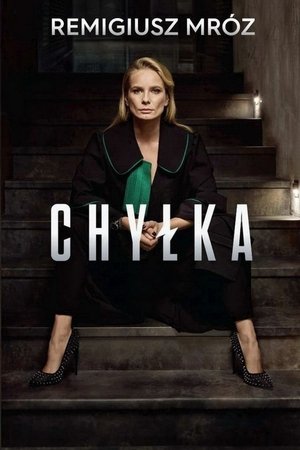 Дела адвоката Хилки: Исчезновение (сериал, 2018)