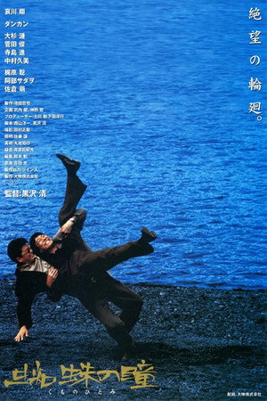 Куда глядит паук (фильм, 1998)