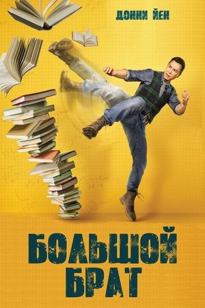 Большой брат (фильм, 2018)