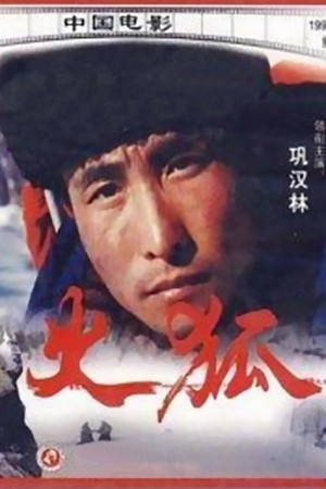 Огненная лиса (фильм, 1993)
