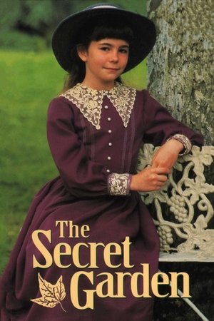 Таинственный сад (фильм, 1987)
