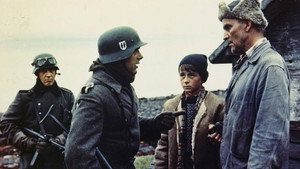 Выжженная земля (фильм, 1969)
