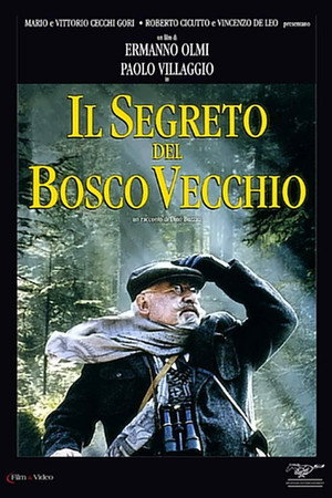 Тайна старого леса (фильм, 1993)