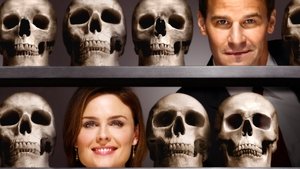 Кости (сериал, 2005)