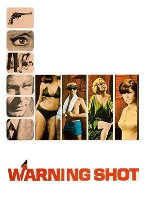 Предупредительный выстрел (фильм, 1966)