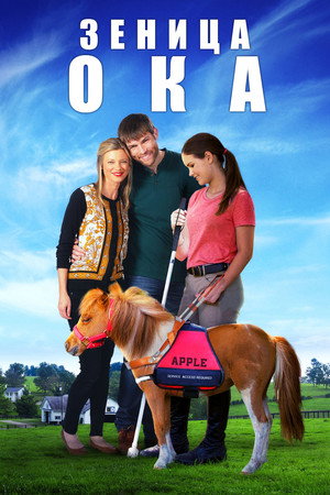 Зеница ока (фильм, 2016)