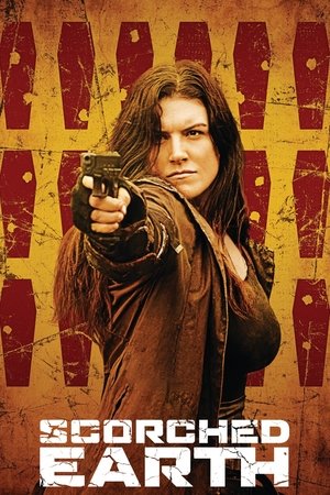 Выжженная земля (фильм, 2016)