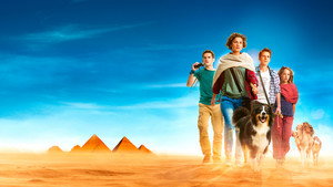 Пятеро друзей 4 (фильм, 2015)