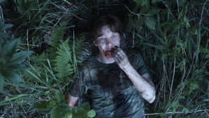 Дорога из желтого кирпича (фильм, 2010)