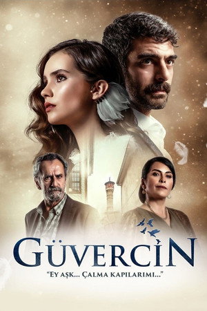 Голубка (сериал, 2019)