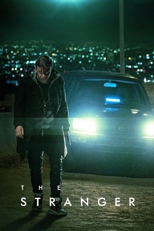 Незнакомец (сериал, 2020)