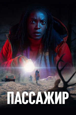 Пассажир (сериал, 2024)
