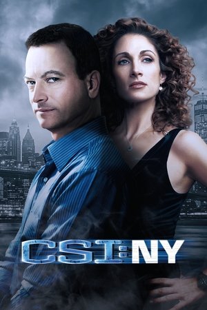 CSI: Место преступления Нью-Йорк (сериал, 2004)