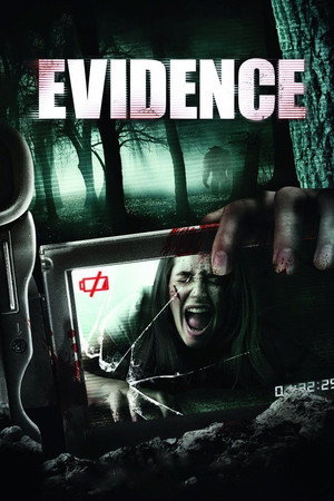 Свидетельство (фильм, 2012)