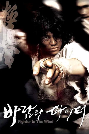 Воин ветра (фильм, 2004)