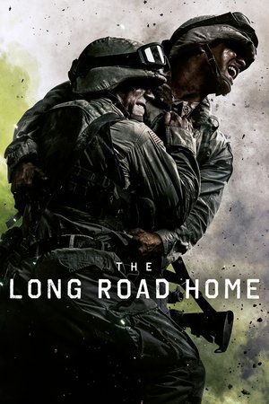 Долгая дорога домой (сериал, 2017)