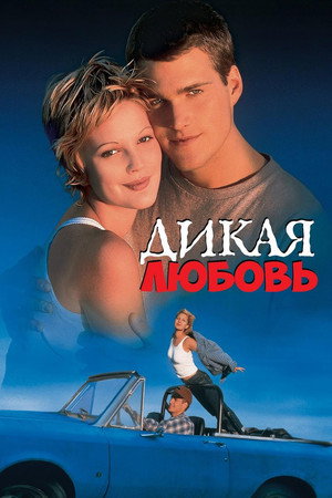 Дикая любовь (фильм, 1995)