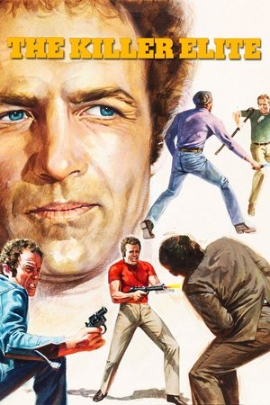 Элита убийц (фильм, 1975)