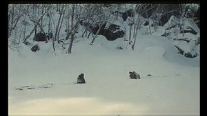 Огненная лиса (фильм, 1993)
