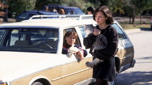 Эта дикая кошка (фильм, 1997)