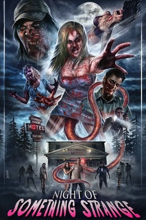 Странная ночь (фильм, 2016)