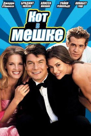 Кот в мешке (фильм, 2002)