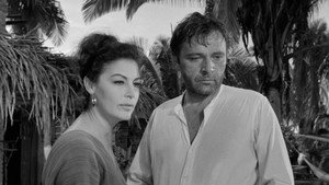 Ночь игуаны (фильм, 1964)