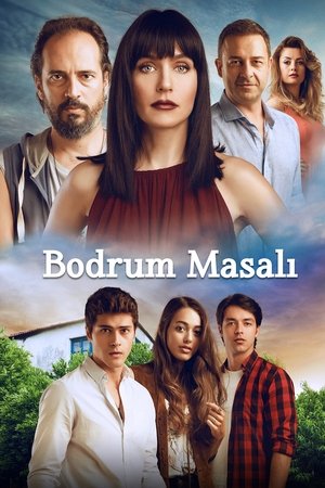 Бодрумская сказка (сериал, 2016)