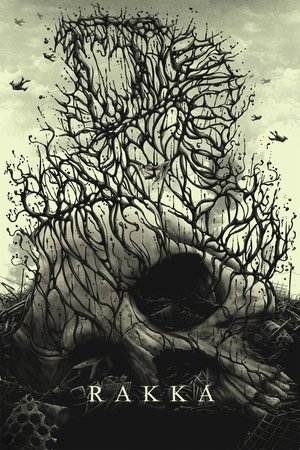 Ракка (фильм, 2017)