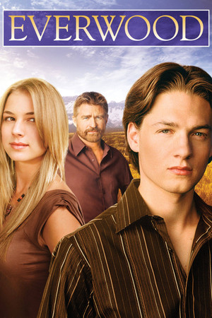 Любовь вдовца (сериал, 2002)