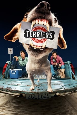 Терьеры (сериал, 2010)