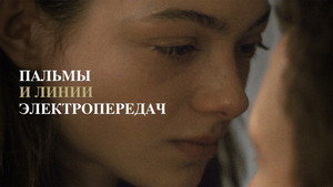 Пальмы и линии электропередач (фильм, 2022)
