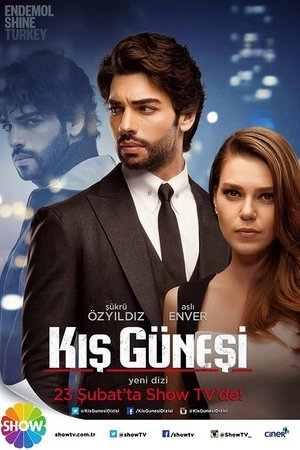 Зимнее Солнце (сериал, 2016)