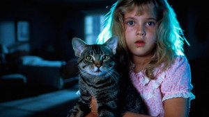 Кошачий глаз (фильм, 1985)