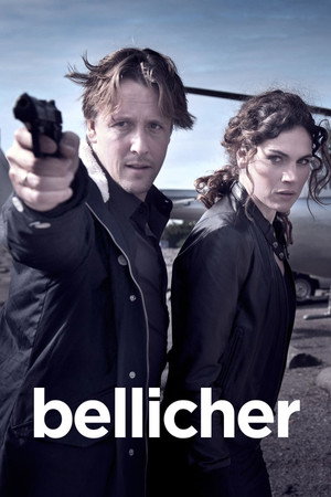 Власть господина Миллера (сериал, 2010)