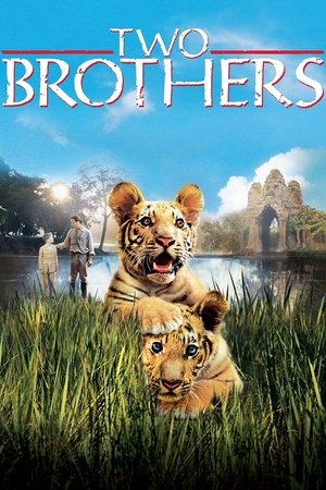 Два брата (фильм, 2004)