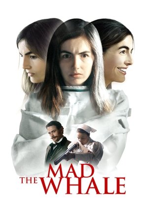 Безумный кит (фильм, 2017)