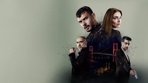 Анатомия хаоса