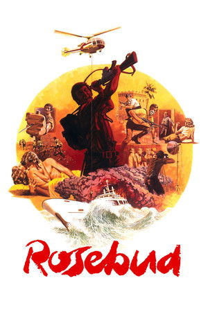 Бутон розы (фильм, 1975)