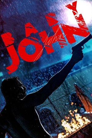 Бейби Джон (фильм, 2024)