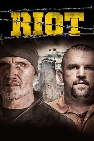 Джек Стоун (фильм, 2015)