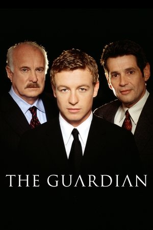 Защитник (сериал, 2001)